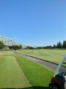 20241014_081225.JPG