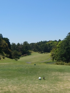20250430_112005.JPG