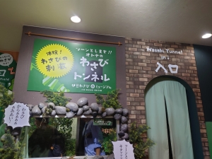 20250531_133447.JPG
